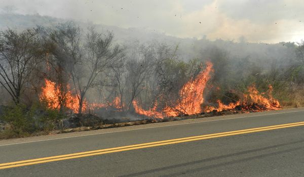 Imagem de incêndios em rodovia