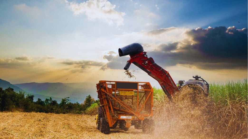 Como o agro brasileiro inspira uma nova geração de empreendedores