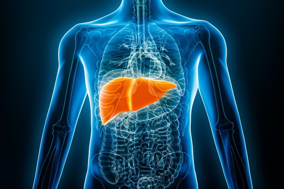 Dia 28 de julho marca alerta: Brasil soma mais de 718 mil casos de hepatites virais