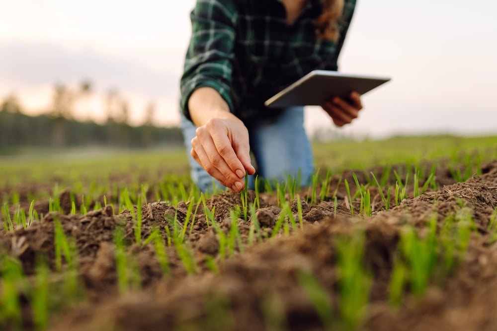 Entenda como a IA pode ajudar o agro a se preparar para as mudanças climáticas
