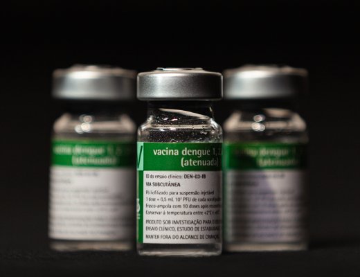 Nova vacina contra dengue do Butantan deve começar a ser aplicada em dezembro