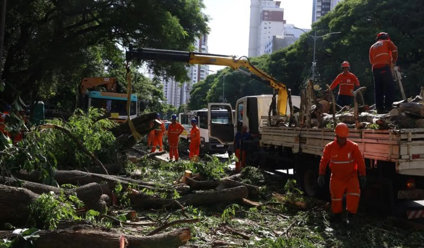 Dois dias após ciclone, mais de 750 mil ainda estão sem luz na Grande São Paulo
