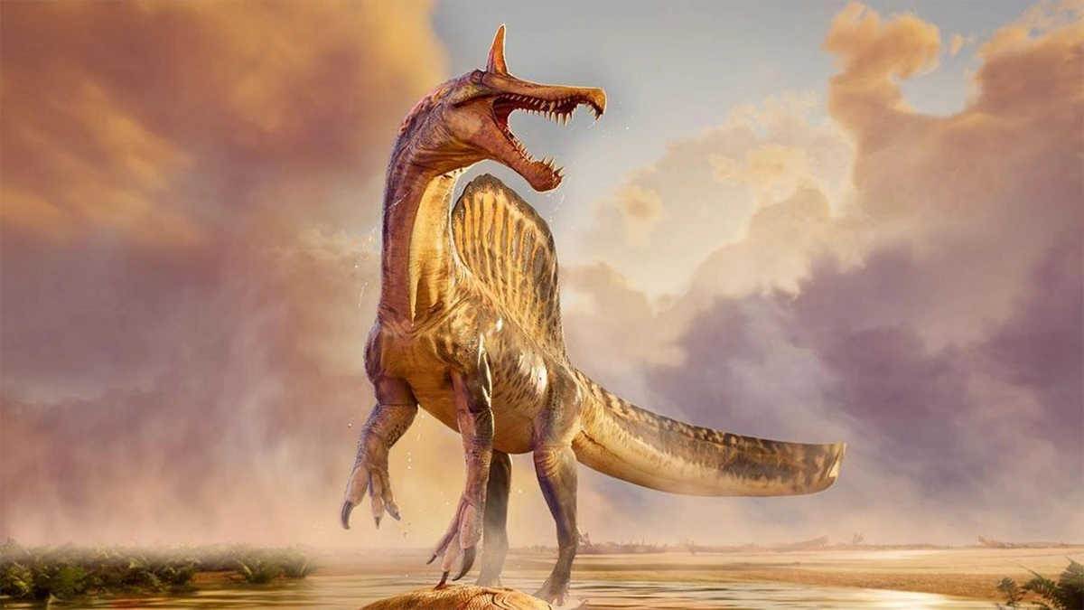 Gigante semiaquático do Cretáceo: nova espécie de Spinosaurus é revelada no Saara