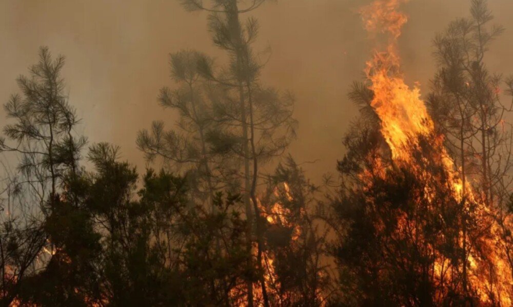 Incêndios florestais ameaçam cidade histórica francesa de Bordeaux